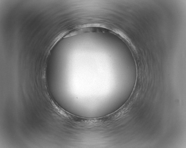 X0000052951193200508050914