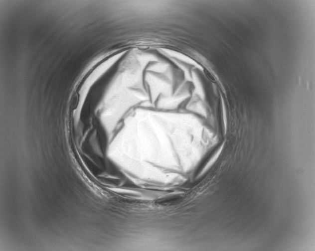 X0000052951195200508050914
