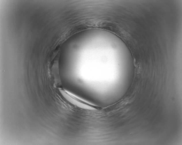 X0000052951202200508050913