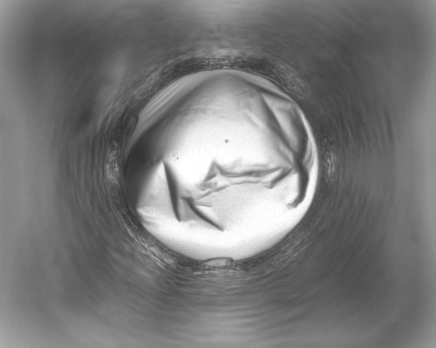 X0000052951204200508050913