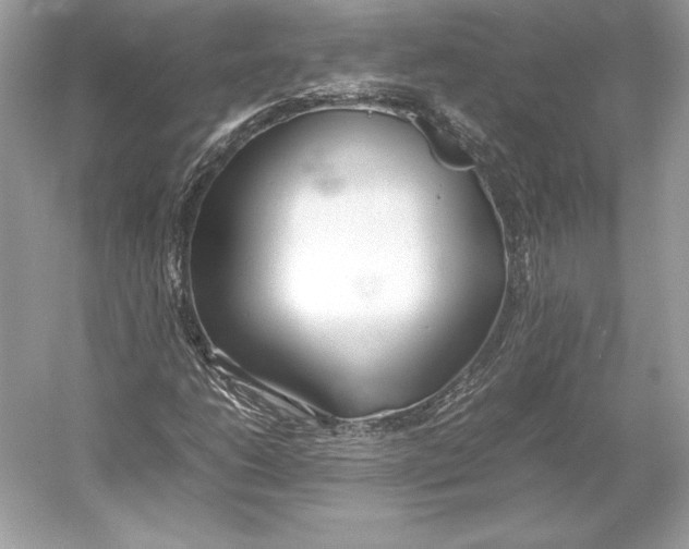 X0000052951206200508050913