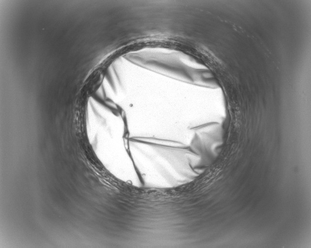 X0000052951208200508050913