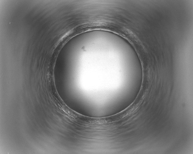 X0000052951210200508050913