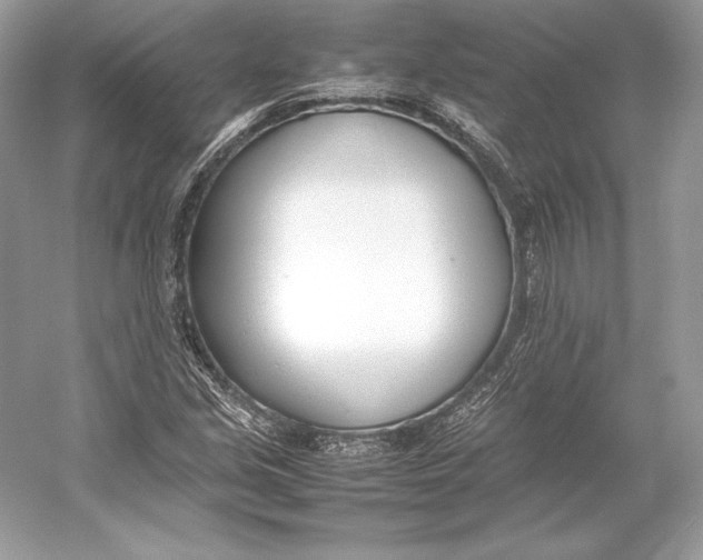X0000052951213200508050913
