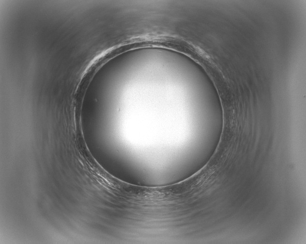 X0000052951214200508050913