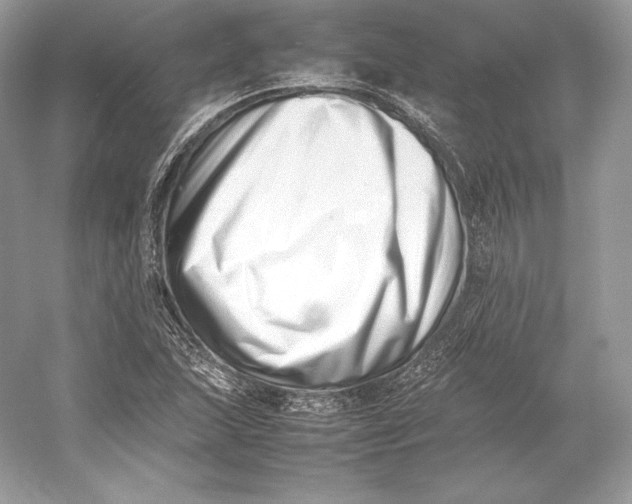 X0000052951215200508050913