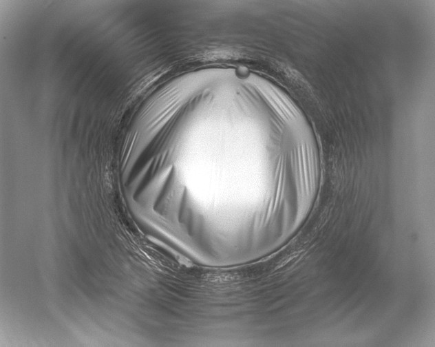X0000052951217200508050913