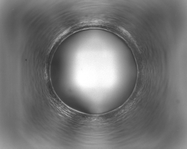 X0000052951218200508050913