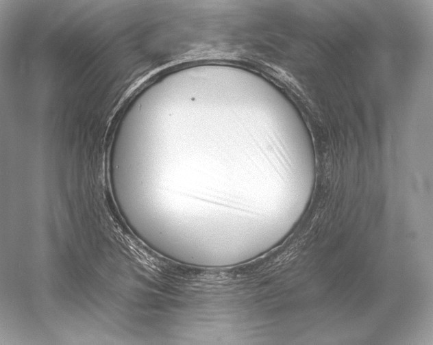 X0000052951220200508050913