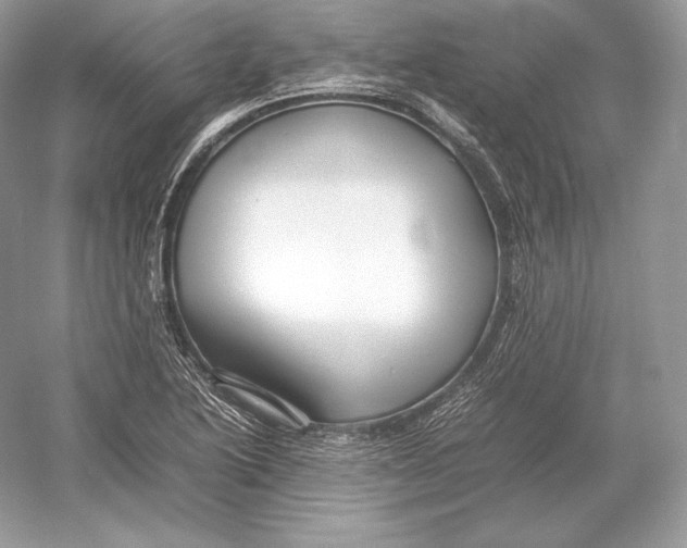 X0000052951222200508050913