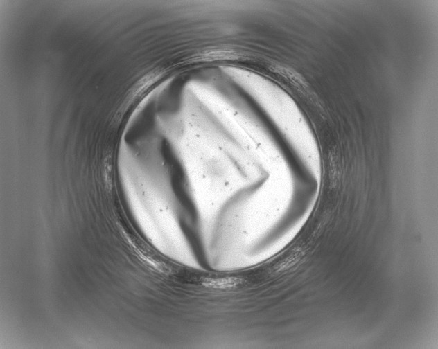 X0000052951225200508050913