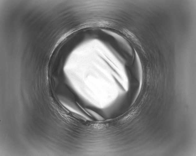 X0000052951226200508050913