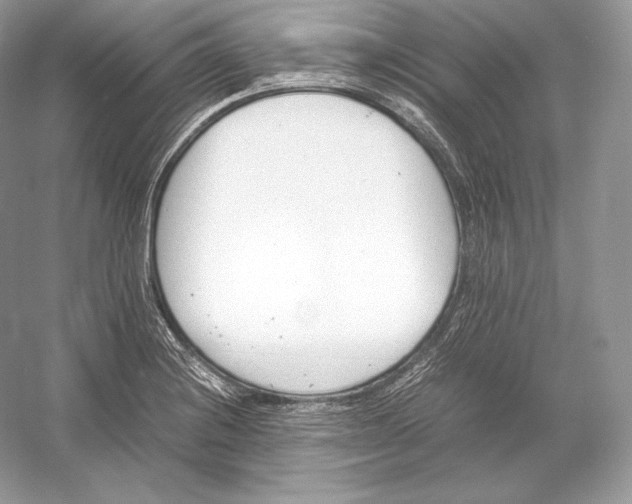 X0000052951228200508050913