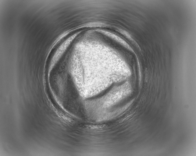 X0000052951229200508050913