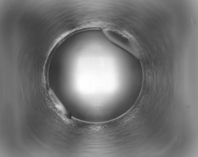 X0000052951230200508050913