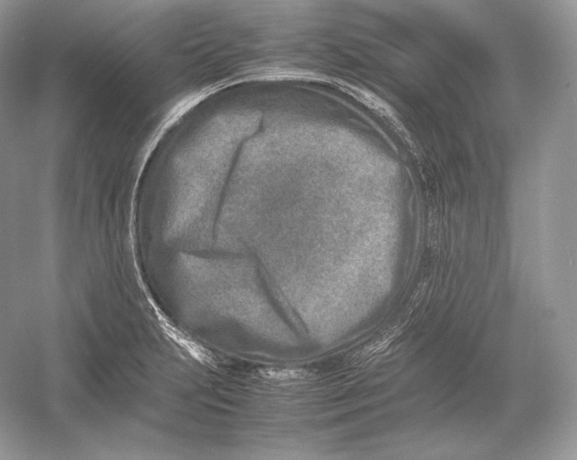 X0000052951231200508050913