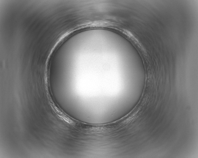 X0000052951232200508050913