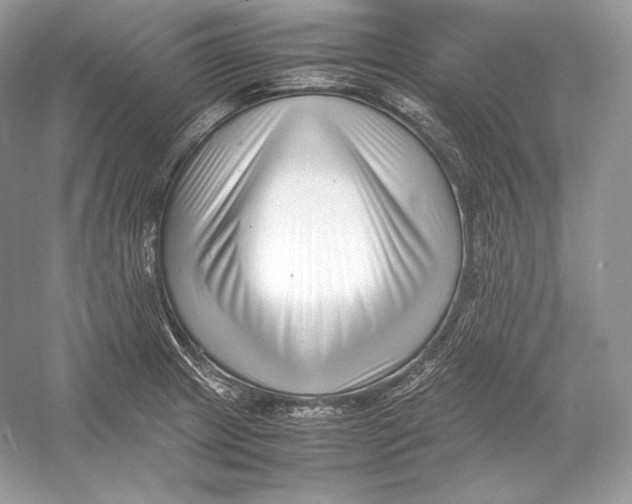 X0000052951233200508050913