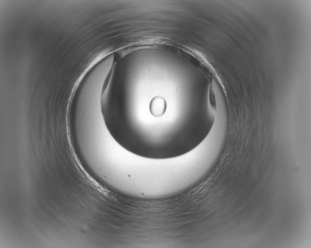 X0000052951235200508050913