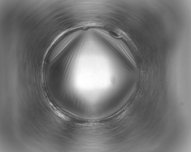X0000052951236200508050913