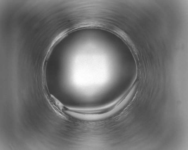 X0000052951242200508050913