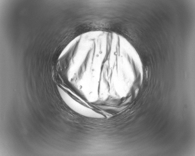 X0000052951251200508050913