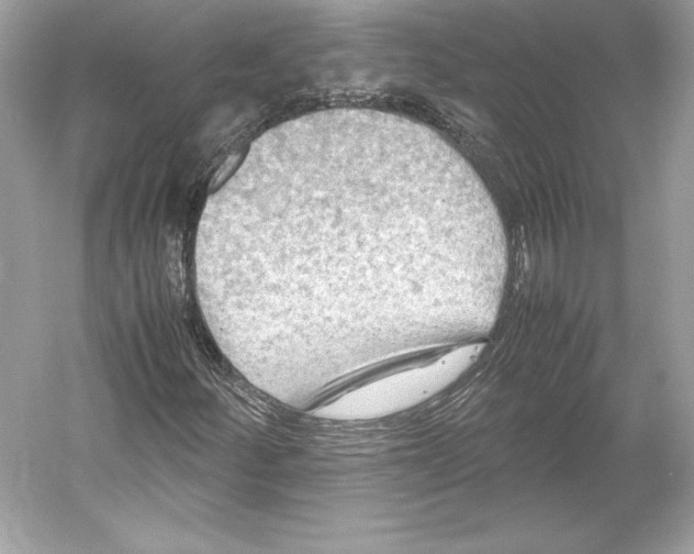 X0000052951252200508050913