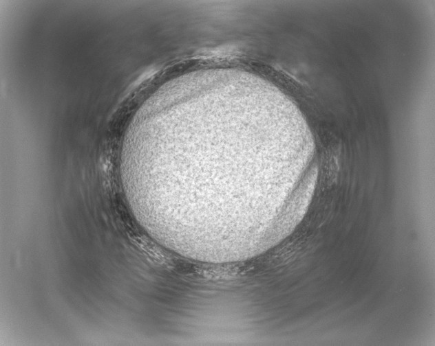 X0000052951254200508050913