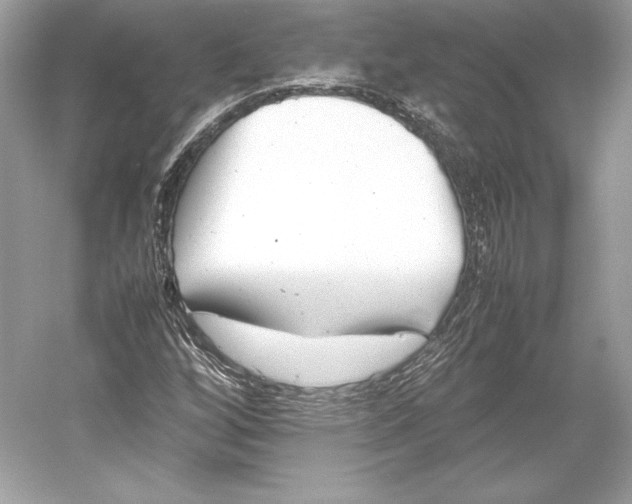 X0000052951256200508050913