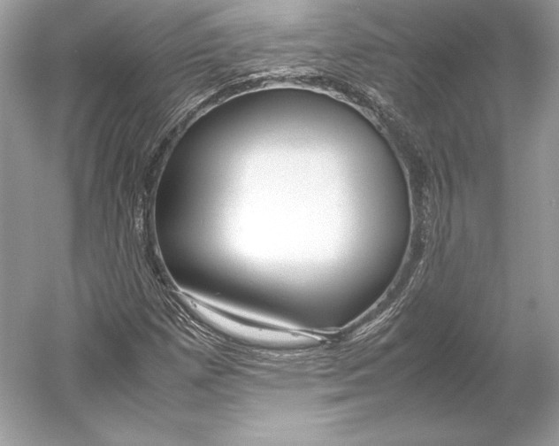 X0000052951257200508050913