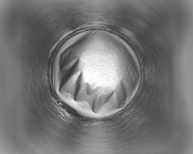 X0000052951260200508050913