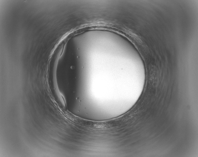 X0000052951264200508050912
