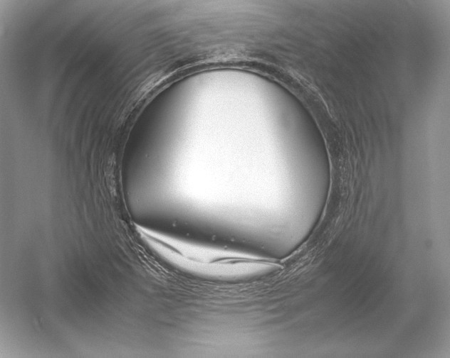 X0000052951265200508050912