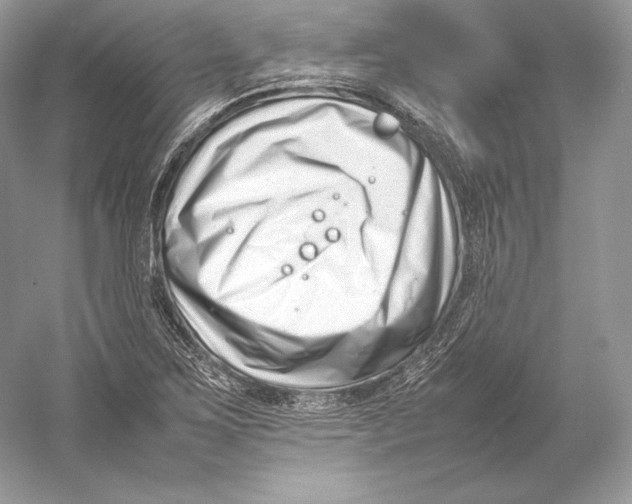 X0000052951267200508050912