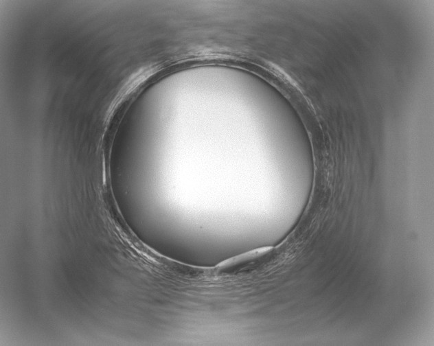 X0000052951269200508050912