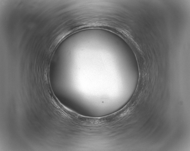 X0000052951273200508050912