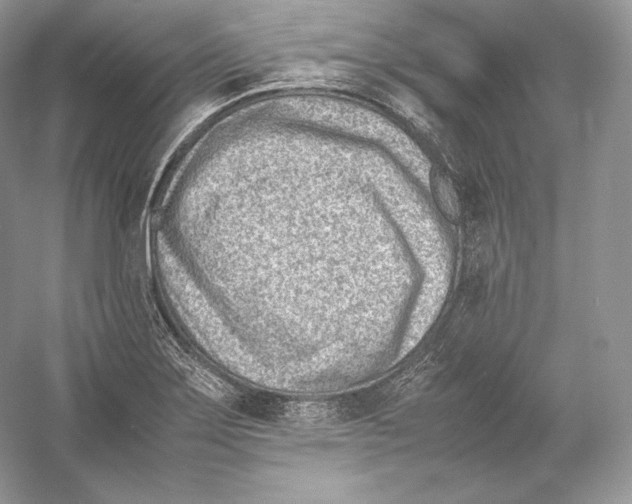 X0000052951275200508050912