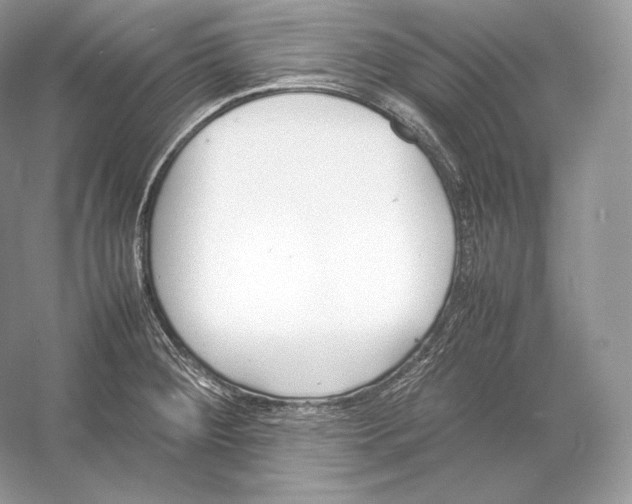 X0000052951284200508050912