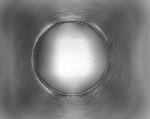X0000052951285200508050912
