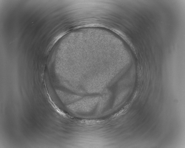 X0000052951289200508050912