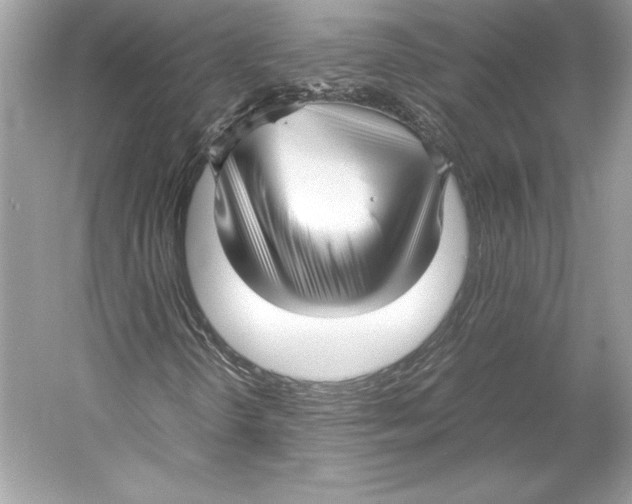X0000052951298200508050911