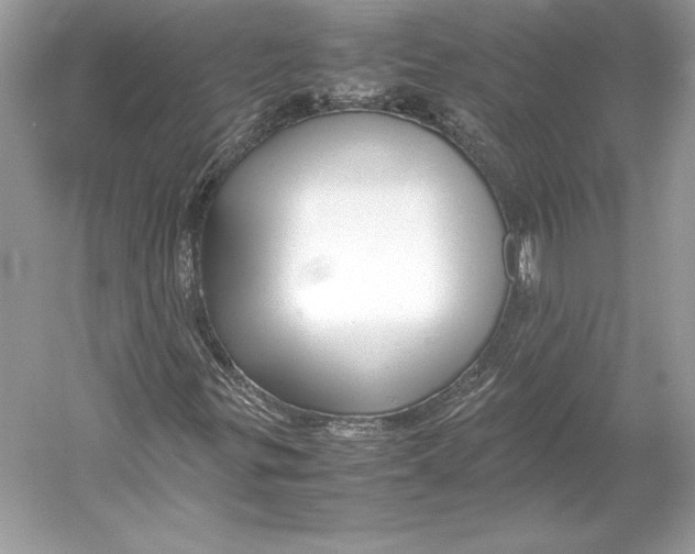 X0000052951299200508050911