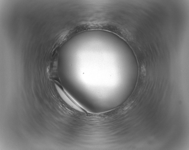X0000052951300200508050911