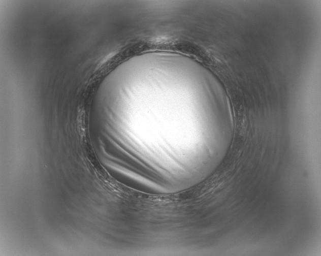 X0000052951301200508050911