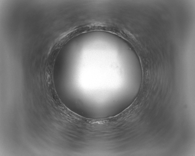 X0000052951303200508050911