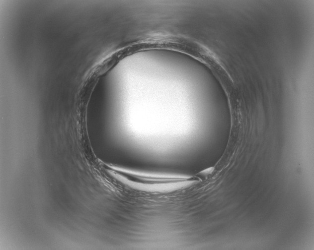 X0000052951304200508050911