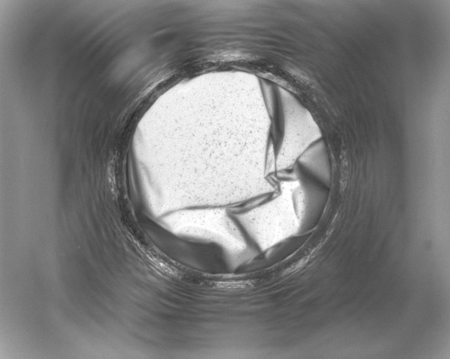 X0000052951305200508050911