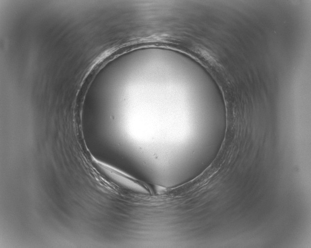X0000052951308200508050911
