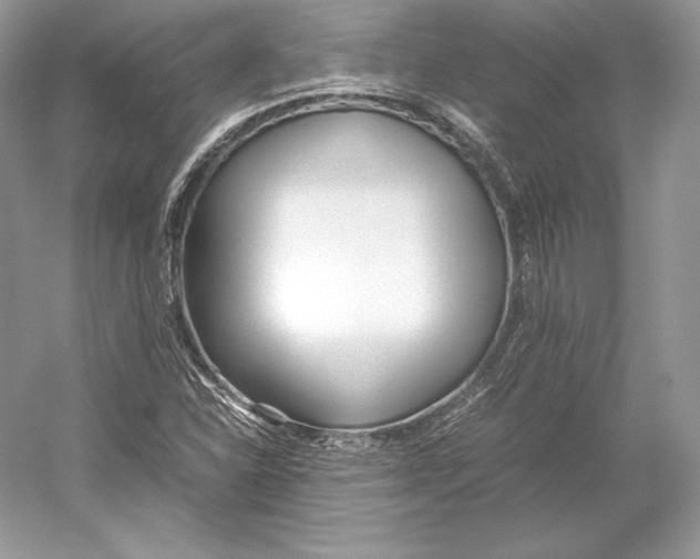 X0000052951310200508050911