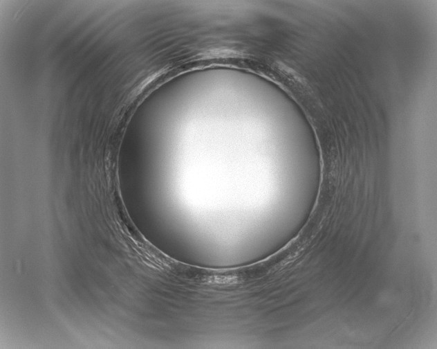 X0000052951313200508050911